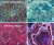 Wzory MARBLE.png