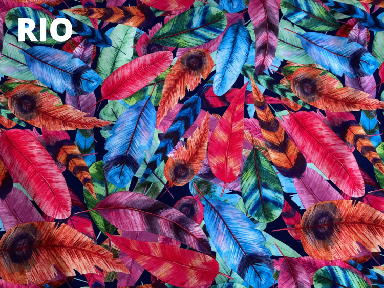RIO.png